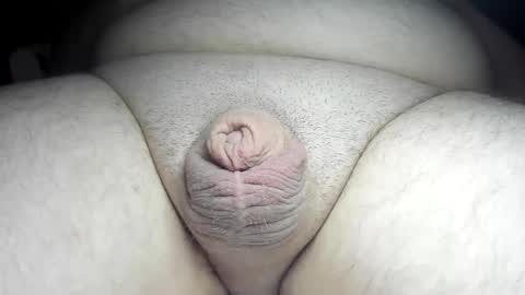 Snapshot of fatmanscock chatting on 12/08/24, 01:02 Fatmanscock online show from 12/08/24, 01:02