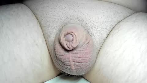 Snapshot of fatmanscock chatting on 12/08/24, 04:04 Fatmanscock online show from 12/08/24, 04:04