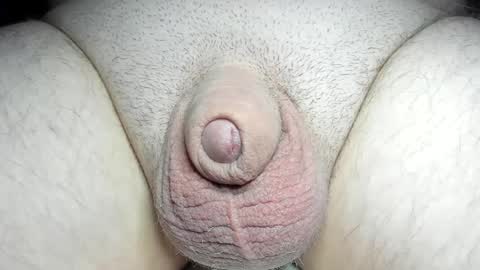 Snapshot of fatmanscock chatting on 12/08/24, 07:05 Fatmanscock online show from 12/08/24, 07:05