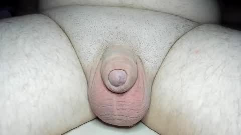 Snapshot of fatmanscock chatting on 01/28/25, 05:11 Fatmanscock online show from 01/28/25, 05:11