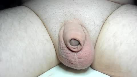 Snapshot of fatmanscock chatting on 02/04/25, 05:53 Fatmanscock online show from 02/04/25, 05:53