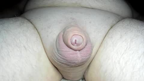 Snapshot of fatmanscock chatting on 02/20/25, 03:01 Fatmanscock online show from 02/20/25, 03:01