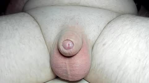 Snapshot of fatmanscock chatting on 03/05/25, 04:56 Fatmanscock online show from 03/05/25, 04:56