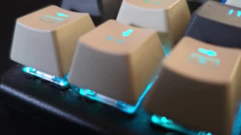 faverry online show from 11/14/25, 11:20