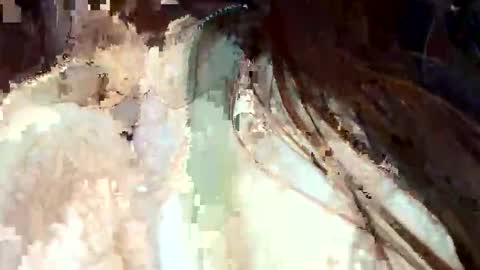 fdaops online show from 01/11/26, 06:57