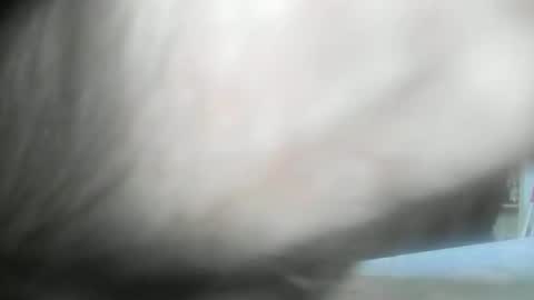 Snapshot of feardubh chatting on 01/10/25, 09:34 feardubh online show from 01/10/25, 09:34