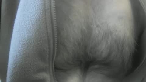 Snapshot of feardubh chatting on 01/19/25, 03:53 feardubh online show from 01/19/25, 03:53