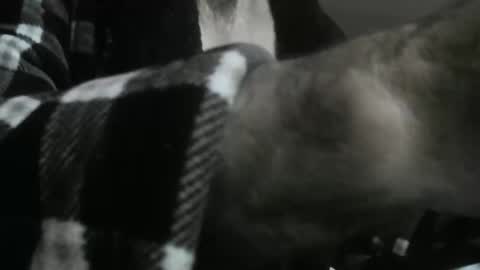 Snapshot of feardubh chatting on 10/31/25, 09:43 feardubh online show from 10/31/25, 09:43