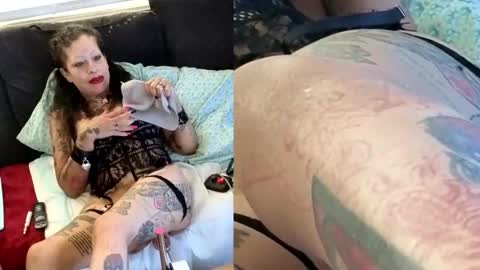 Snapshot of feleenafux42 chatting on 03/17/26, 03:48 FeleenaFux online show from 03/17/26, 03:48