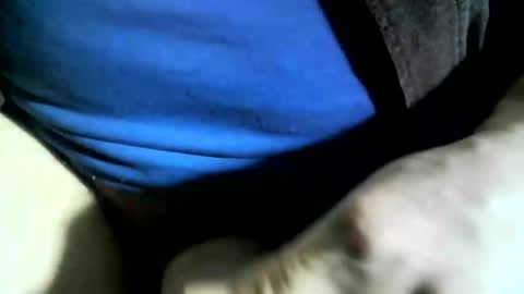 felicaste online show from 01/24/25, 06:04