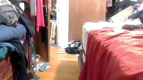 felicitybliss29 online show from 10/16/25, 04:57