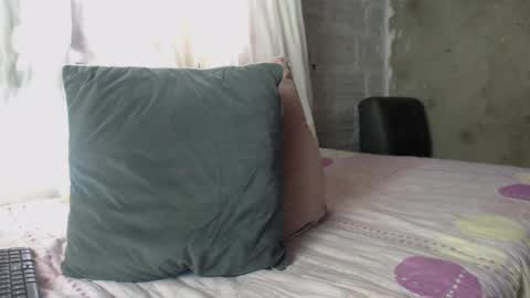 Snapshot of felipevega01 chatting on 03/02/26, 06:48 felipe online show from 03/02/26, 06:48