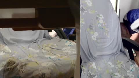 felixlau online show from 01/07/25, 07:42