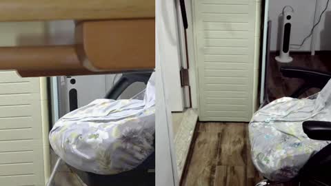 felixlau online show from 01/26/25, 12:11