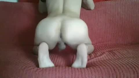 Snapshot of femboyhot28 chatting on 11/09/25, 03:05 femboyhot28 online show from 11/09/25, 03:05