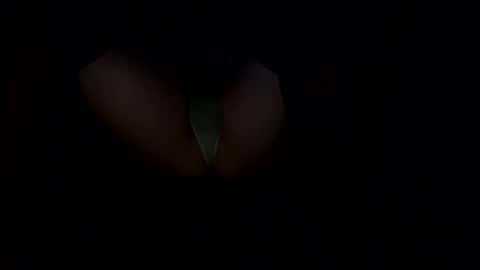 Snapshot of femboywannabe chatting on 12/09/24, 01:45 ElaraJean online show from 12/09/24, 01:45