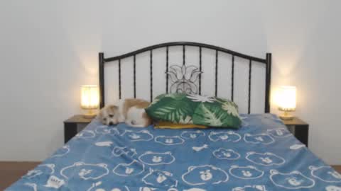 kaylee online show from 02/11/25, 11:22