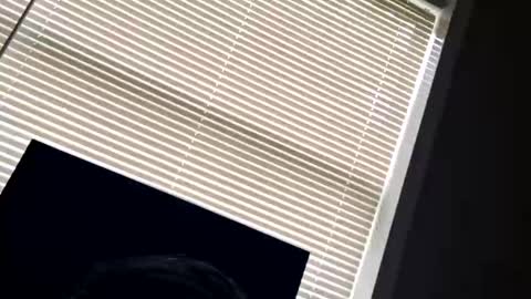 Snapshot of fer28639 chatting on 09/24/25, 06:00 fer28639 online show from 09/24/25, 06:00