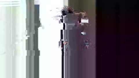 Snapshot of fer28639 chatting on 04/11/26, 04:44 fer28639 online show from 04/11/26, 04:44