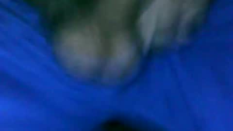 Snapshot of fer_2197 chatting on 01/23/25, 01:24 fer_2197 online show from 01/23/25, 01:24