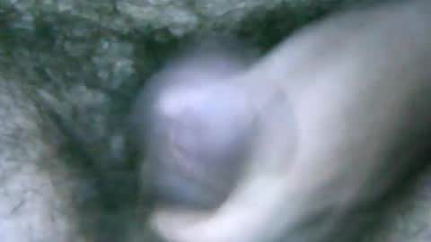 Snapshot of fer_2197 chatting on 02/06/25, 01:54 fer_2197 online show from 02/06/25, 01:54