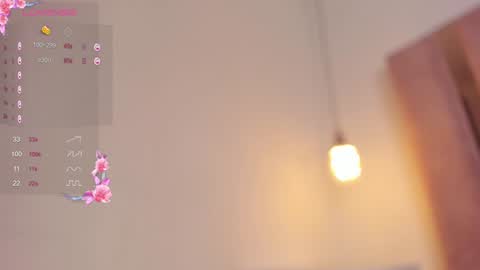 Snapshot of fer_luu chatting on 12/06/24, 02:49  Fernanda Luna  online show from 12/06/24, 02:49