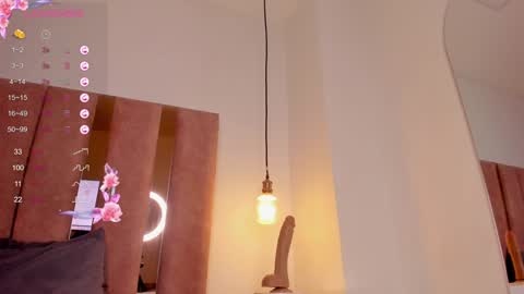 Snapshot of fer_luu chatting on 12/10/24, 11:22  Fernanda Luna  online show from 12/10/24, 11:22