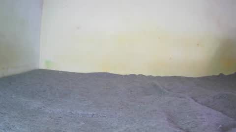 Snapshot of fernando_tlk chatting on 12/20/24, 07:17 Fern Tlk online show from 12/20/24, 07:17