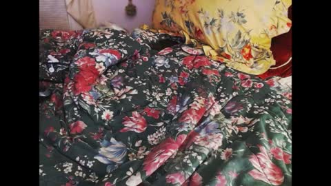 Snapshot of ferra_testarossa chatting on 04/09/26, 02:33 ferra_testarossa online show from 04/09/26, 02:33