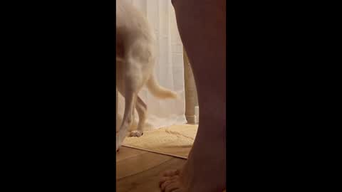 fetishdad863 online show from 04/17/26, 01:58