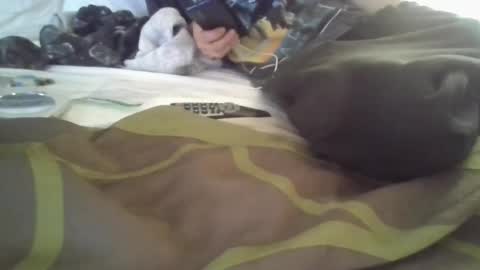 Snapshot of fetishfriendly6969 chatting on 12/04/24, 03:43 fetishfriendly6969 online show from 12/04/24, 03:43