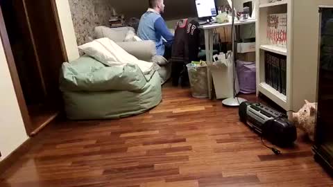 Fid online show from 02/17/25, 08:58