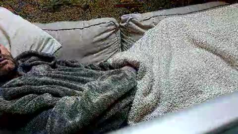 Fid online show from 02/24/25, 01:31