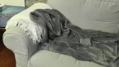 Snapshot of fidelio89 chatting on 01/06/26, 08:45 Fid online show from 01/06/26, 08:45