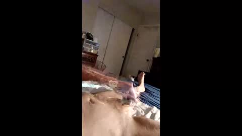 Snapshot of figaro62026 chatting on 04/27/26, 10:35 figaro62026 online show from 04/27/26, 10:35