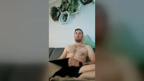 fiolkamil online show from 06/16/26, 08:55
