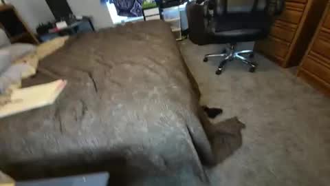 filfaonyx online show from 11/04/25, 05:12