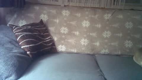 Snapshot of findo1991 chatting on 01/06/25, 08:24 Jane and Findo online show from 01/06/25, 08:24