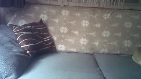 Snapshot of findo1991 chatting on 01/25/25, 05:51 Jane and Findo online show from 01/25/25, 05:51