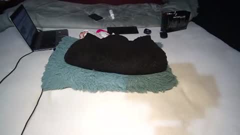 Rania online show from 11/10/25, 08:46