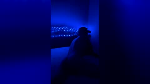 fipgrkqhvcgf online show from 05/17/26, 04:36