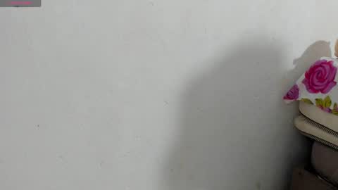Snapshot of fire_lovex chatting on 05/12/26, 08:22 fire lovex online show from 05/12/26, 08:22