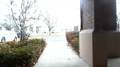 pain slut daren online show from 12/16/24, 05:33