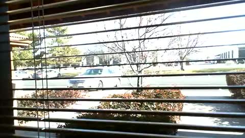 pain slut daren online show from 01/09/25, 07:08