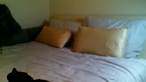 Snapshot of fitbut chatting on 09/15/25, 07:03 Fitbut online show from 09/15/25, 07:03