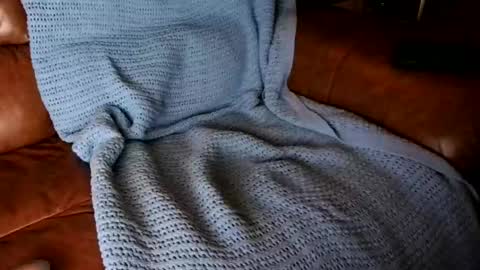 fitstevie1 online show from 01/16/25, 11:27