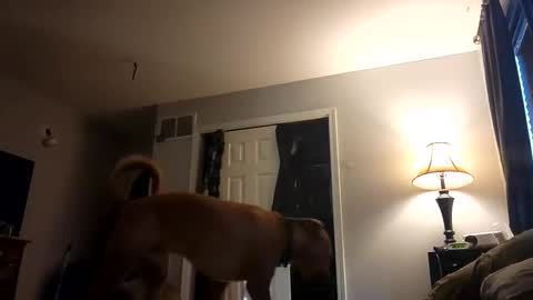 Snapshot of fkmylife6669 chatting on 02/28/25, 01:03 Nate online show from 02/28/25, 01:03