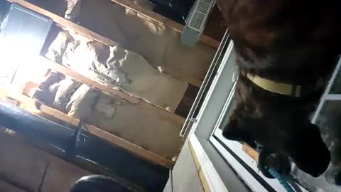 Snapshot of fkmylife6669 chatting on 09/25/25, 02:15 Nate online show from 09/25/25, 02:15