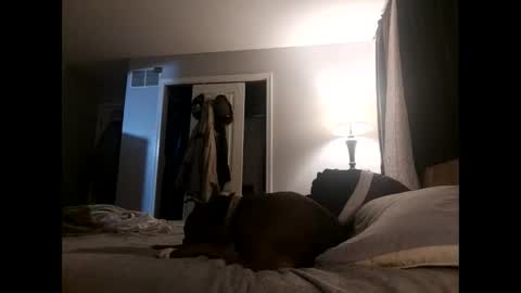 Nate online show from 11/02/25, 04:48