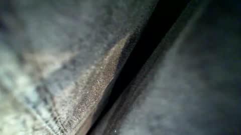 flash online show from 02/28/26, 04:13